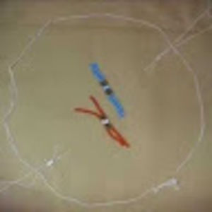 Meet your Posher, Ethan